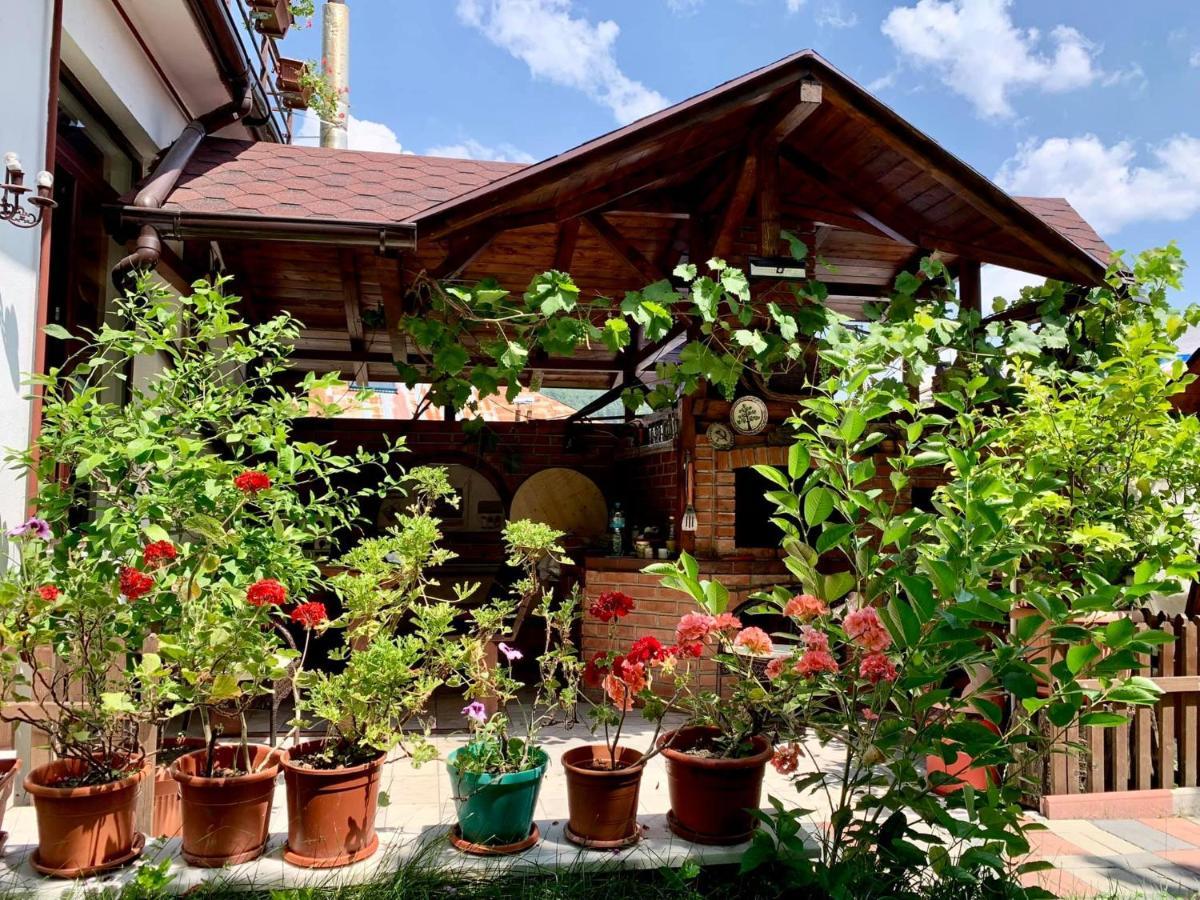 Casa Olanesti Hotel Baile Olanesti Luaran gambar